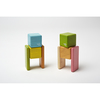 Tegu Magnetic Wooden Blocks, 8-Piece Pocket Pouch, Tints A-10-012-SJG
